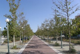 ΔΙΑΜΟΡΦΩΣΗ ΕΛΕΥΘΕΡΩΝ ΧΩΡΩΝ ΤΟΥ ΟΛΥΜΠΙΑΚΟΥ ΧΩΡΙΟΥ ΚΑΙ ΛΟΙΠΑ ΣΥΜΠΛΗΡΩΜΑΤΙΚΑ ΕΡΓΑ