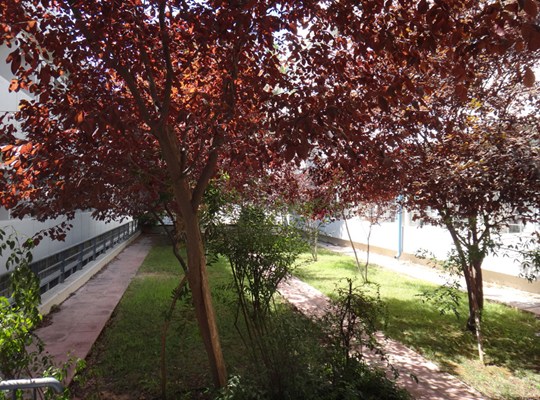 ΔΙΑΜΟΡΦΩΣΗ ΠΕΡΙΒΑΛΛΟΝΤΟΣ ΧΩΡΟΥ ΦΥΣΙΚΟΜΑΘΗΜΑΤΙΚΗΣ ΣΧΟΛΗΣ ΠΑΝΕΠΙΣΤΗΜΙΟΥ ΑΘΗΝΩΝ