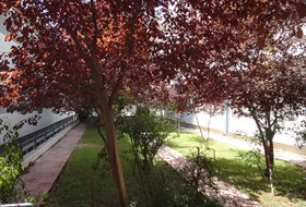 LANDSCAPING AT THE PHYSICOMATEMATICS FACULTY OF ATHENS UNIVERSITY